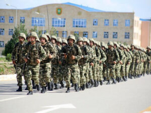 image-telim-1