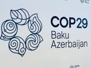 COP29