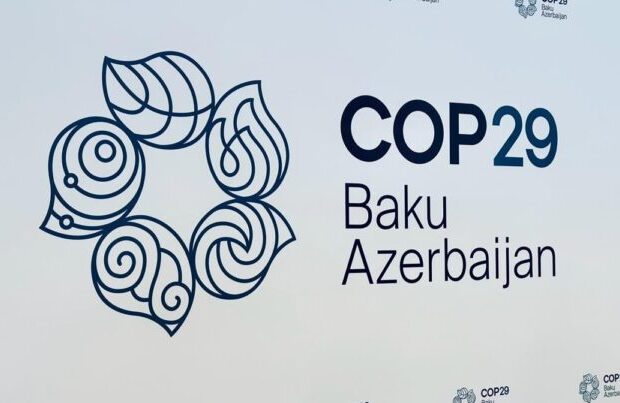 COP29