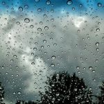 image-yagis2_990_79
