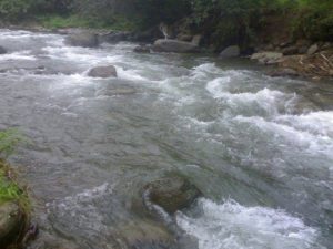 image-1745905618_f711cd55-c31c-3b32-8056-11c76796d7f4_850