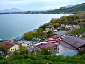 image-goyce